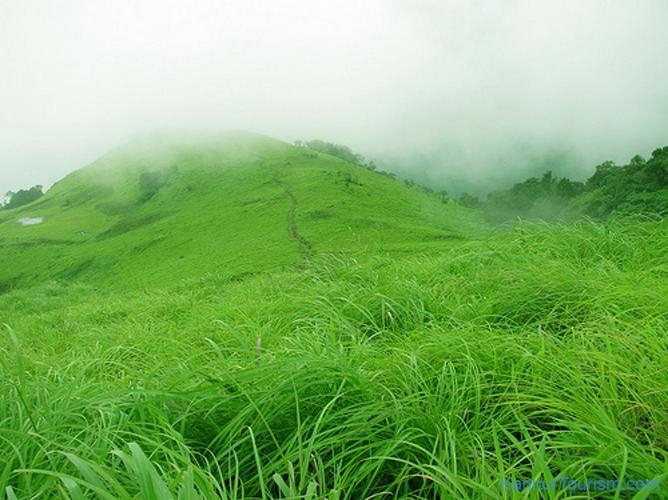 Paithal Resort Kannur Bagian luar foto