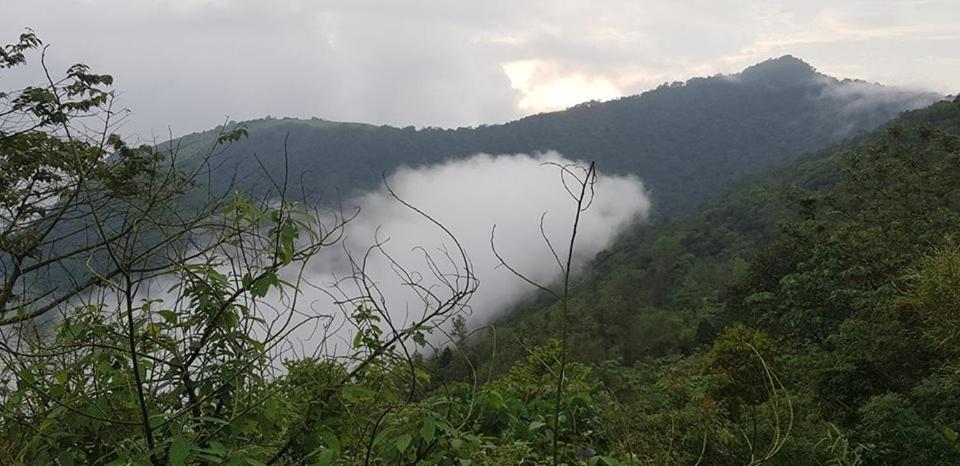 Paithal Resort Kannur Bagian luar foto